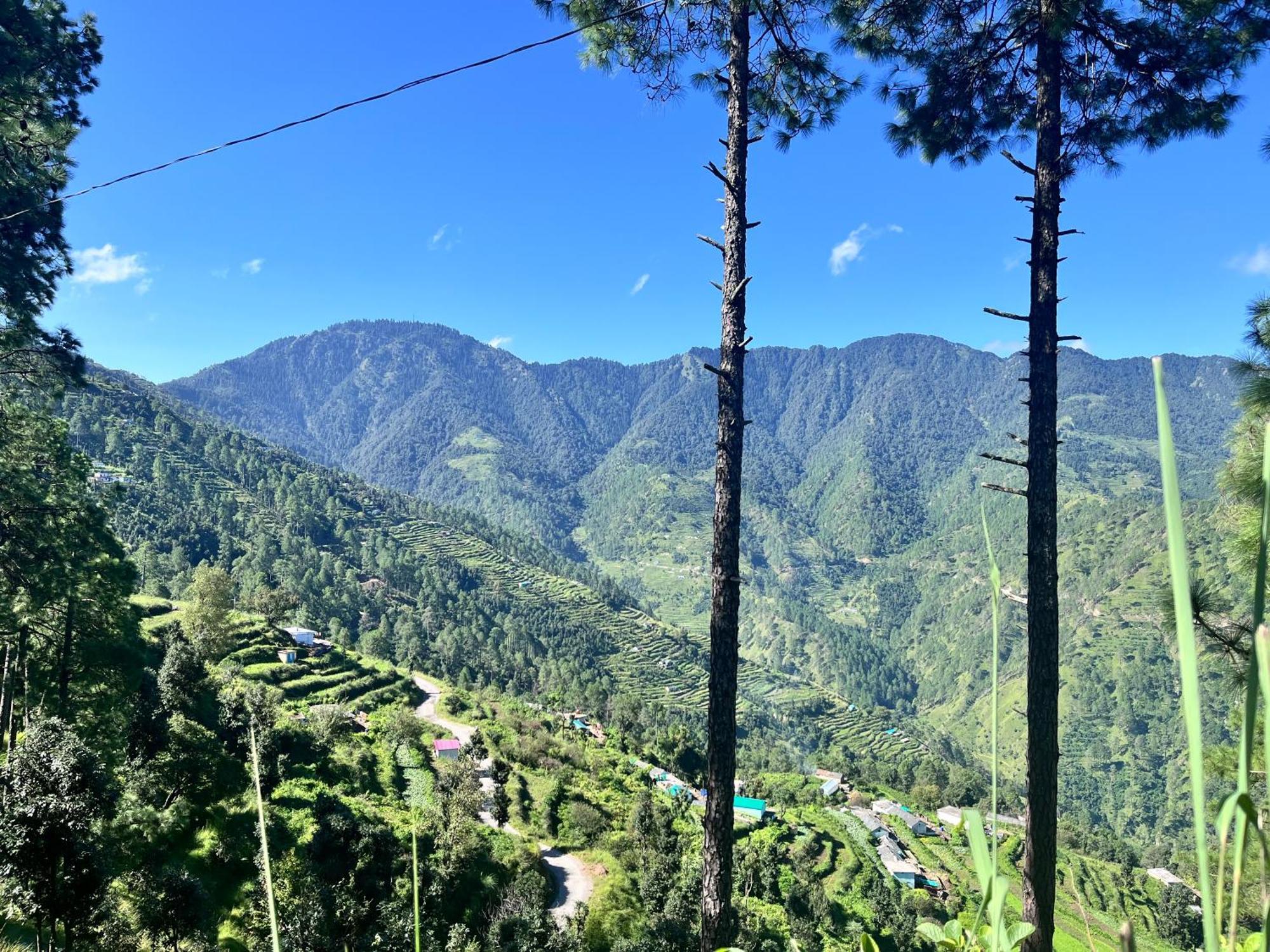 Himalayan Hill Top Resort Kanatal Extérieur photo