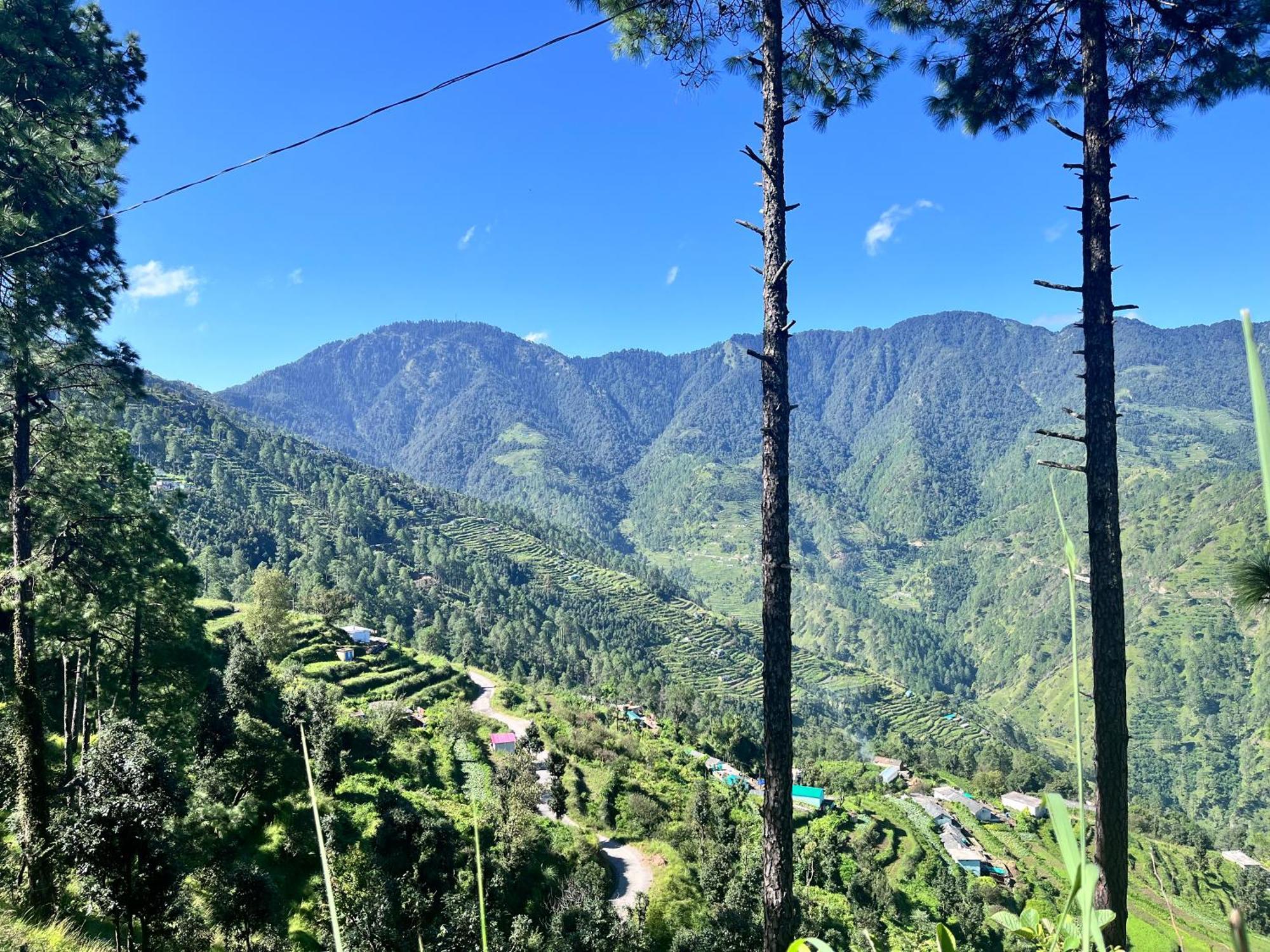 Himalayan Hill Top Resort Kanatal Extérieur photo